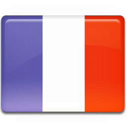 France-Flag-icon
